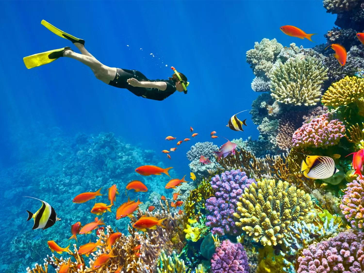 Pegasus İle Ankara Hareketli Kızıldeniz Rüyası; Prestij Sharm El Sheikh Turu 3 Gece (379)