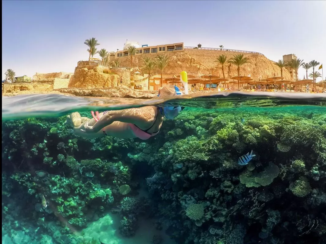 Freebird Hava Yolları ile Kurban Bayramı Özel Kızıldeniz Rüyası; Prestij Sharm El Sheikh Turu (430)