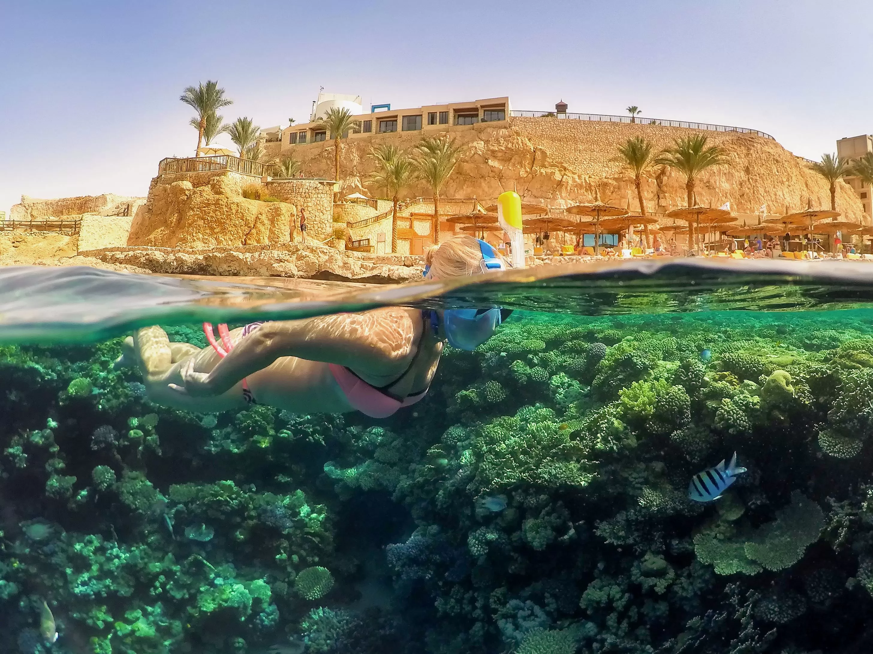 İstanbul Hareketli Ajet İle Kızıldeniz Rüyası; Prestij Sharm El Sheıkh Turu 3 Gece (328)