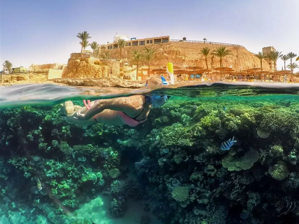 Freebird Hava Yolları ile 22 Mayıs Samsun Hareketli Kurban Bayramı Özel Kızıldenizden Piramitlere Prestij Kahire & Sharm Turu (433)