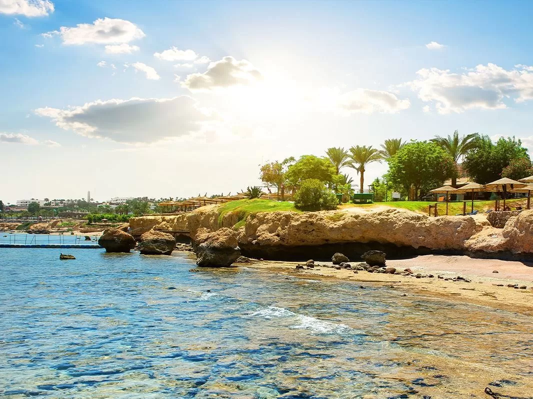 Pegasus ile İstanbul'dan Kızıldeniz Rüyası Prestij Sharm El Sheikh Turu 3 Gece (397)