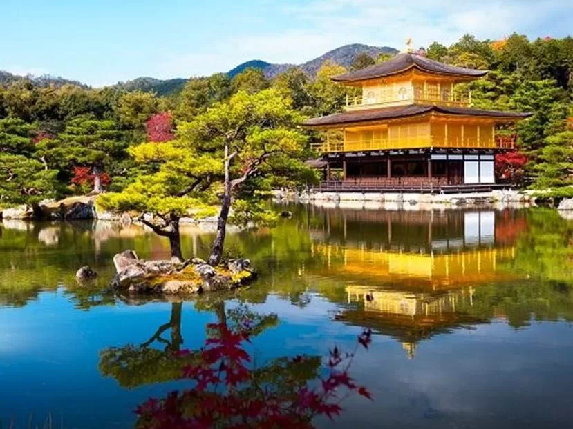 Grand Japonya Kore Turu NRT-ICN THY