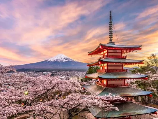 Grand Japonya Turu NRT-KIX THY