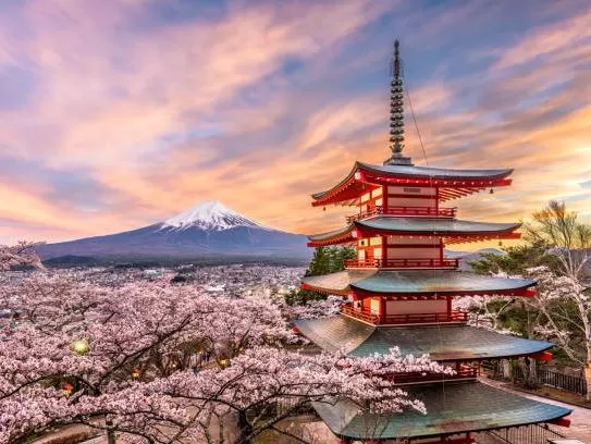 Grand Japonya Disneyland Turu KIX-NRT THY 27103